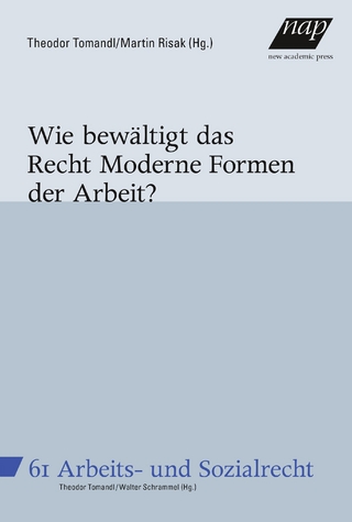 Wie bewältigt das Recht Moderne Formen der Arbeit?