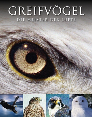 Greifvögel