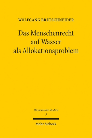 Das Menschenrecht auf Wasser als Allokationsproblem