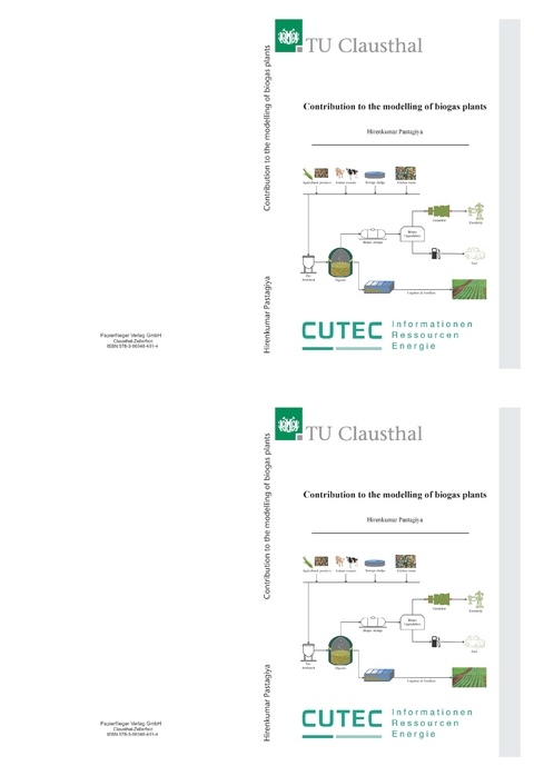 Contribution to the modelling of bigas plants - Hirenkumar Pastagiya