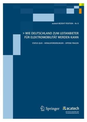 Wie Deutschland zum Leitanbieter f&uuml;r Elektromobilit&auml;t werden kann - 