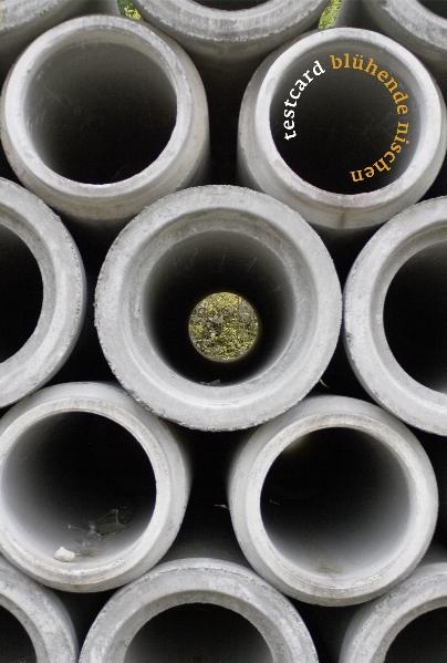 testcard #19: Bl&uuml;hende Nischen - 