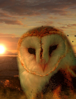 Fantasy Notizbuch: Eulenseele - weiße Seiten mit Eckmotiv