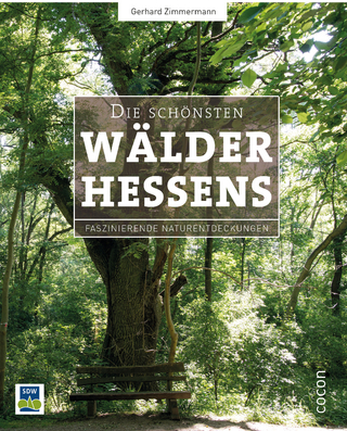 Die schönsten Wälder Hessens