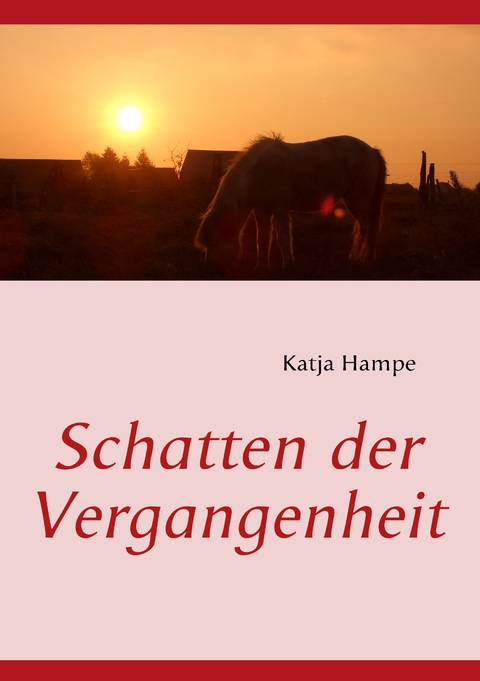 Schatten der Vergangenheit - Katja Hampe