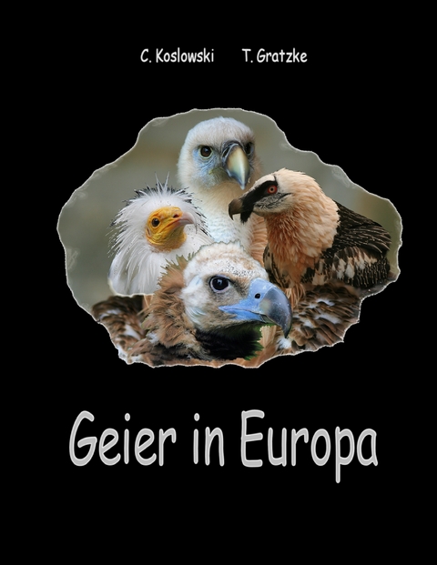 Geier in Europa - Claudia Koslowski, Thorsten Gratzke