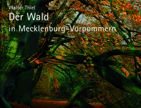 Der Wald in Mecklenburg-Vorpommern - Walter Thiel