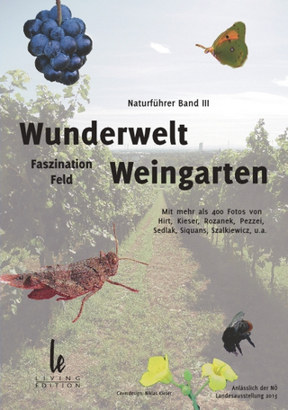 Wunderwelt Weingarten