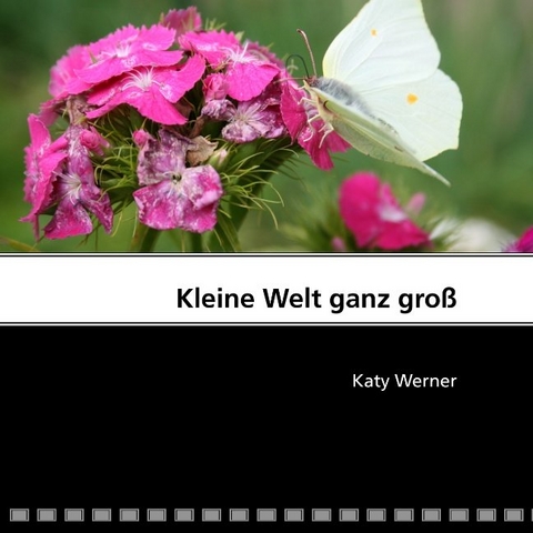 Kleine Welt ganz gro&szlig; - Katy Werner