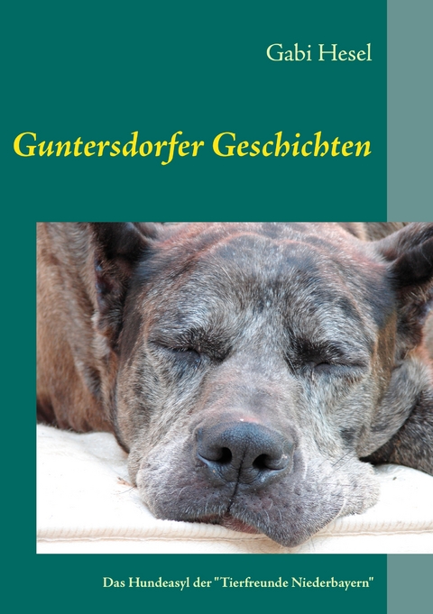 Guntersdorfer Geschichten - Gabi Hesel