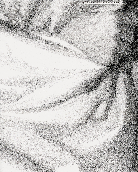 Quart Heft für Kultur Tirol 15/2010 - 