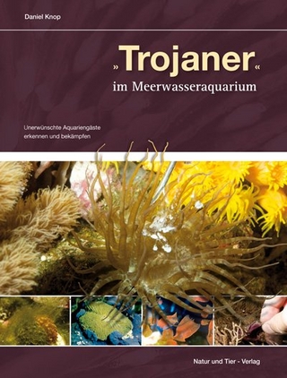 Trojaner im Meerwasseraquarium