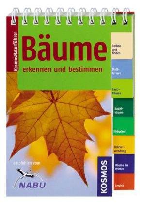 Bäume