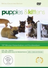 Puppies & Kittens, 1 DVD