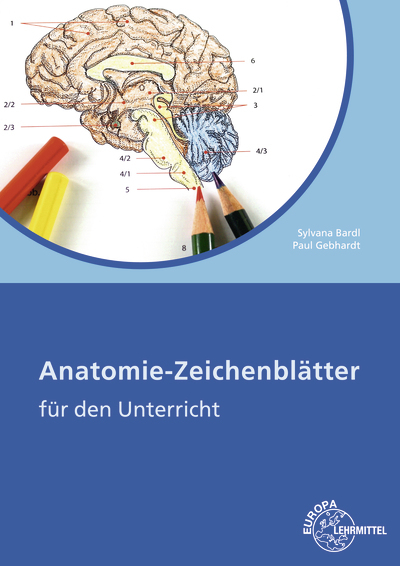 Anatomie Zeichenbl&auml;tter - Sylvana Bardl