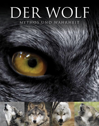 Der Wolf