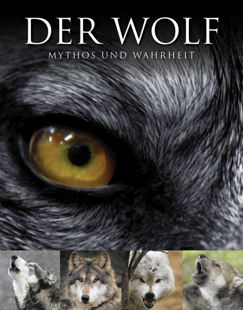 Der Wolf - 