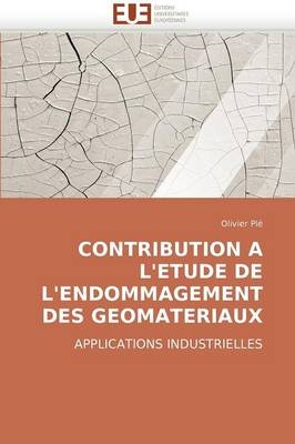 Contribution a l''etude de l''endommagement des geomateriaux -  Ple-O