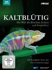 Kaltblütig, 2 DVDs