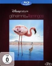 Das Geheimnis der Flamingos, 1 Blu-ray