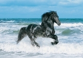 Black Horse (Puzzle)