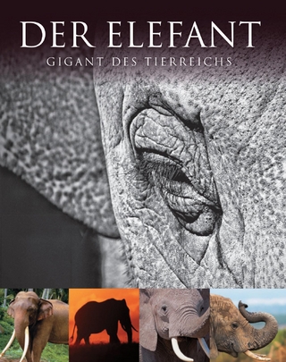 Der Elefant