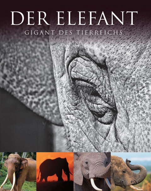 Der Elefant - Gill Davies