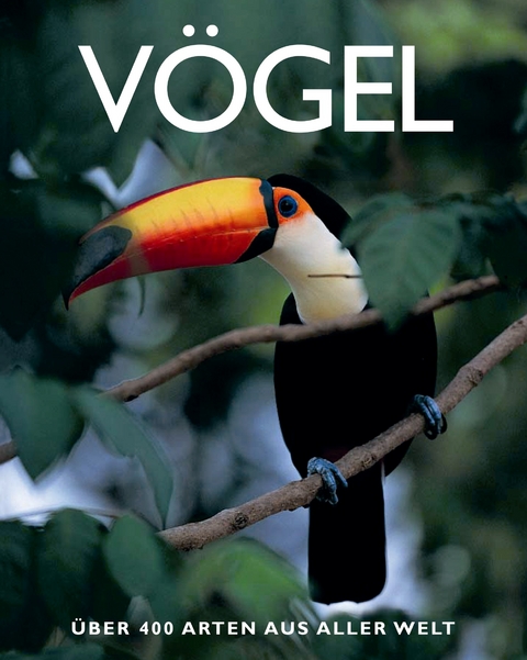 V&ouml;gel