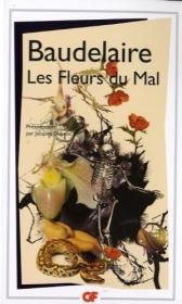 Les fleurs du mal et autres poemes