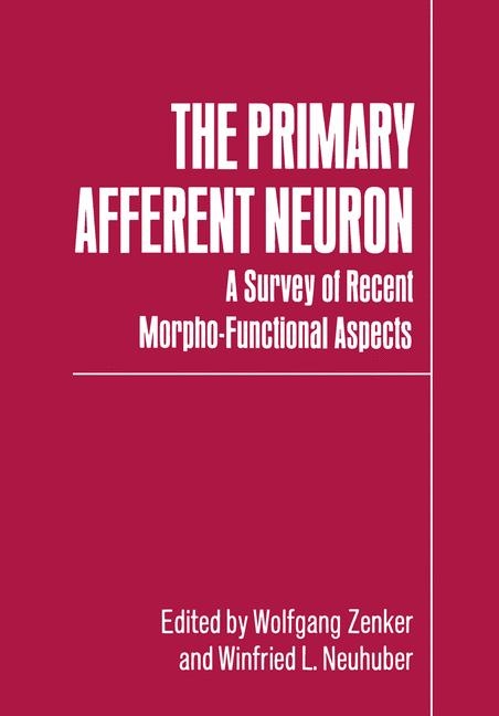 Primary Afferent Neuron - 