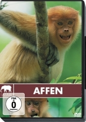 Affen, 1 DVD