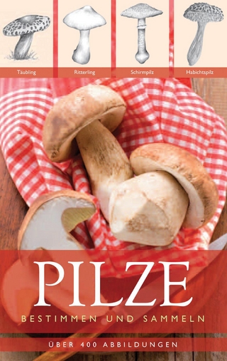 Pilze