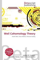 Weil Cohomology Theory - 