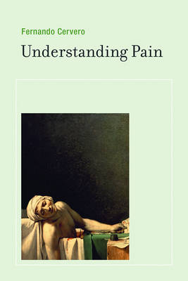 Understanding Pain