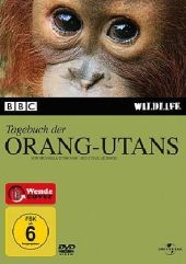 Tagebuch des Orang-Utans, 1 DVD - 