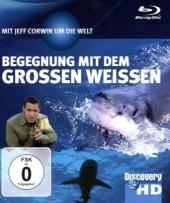 Begegnung mit dem Grossen Weißen Hai, 1 Blu-ray