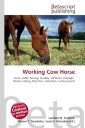 Working Cow Horse - 