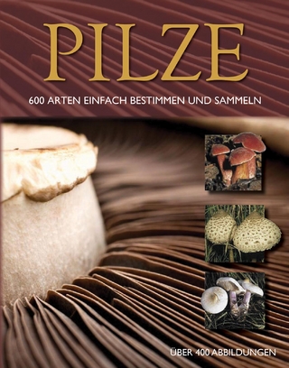 Pilze
