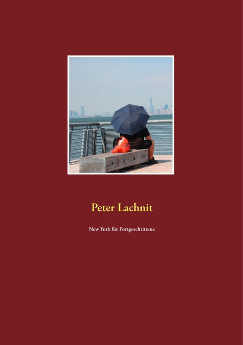New York f&uuml;r Fortgeschrittene - Peter Lachnit