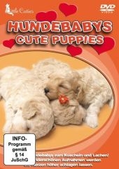 Hundebabys / Cute Puppies, 1 DVD