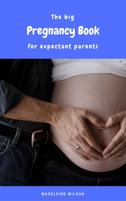 The big Pregnancy Book for expectant parents - Madeleine Wilson