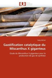 Gaz�ification Catalytique Du Miscanthus X Giganteus