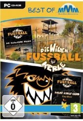 Die Wilden Fußball Kerle - Die schwarze Fahne, CD-ROM