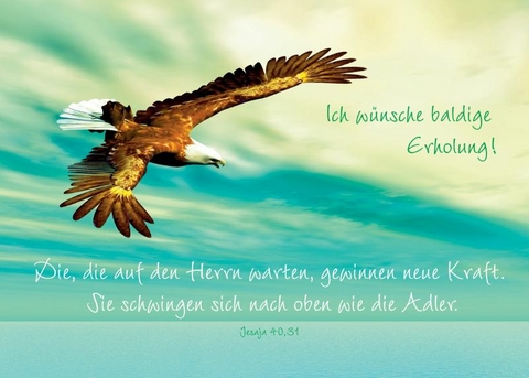 Faltkarte "Ich w&uuml;nsche baldige Erholung! ..." - 5 St&uuml;ck