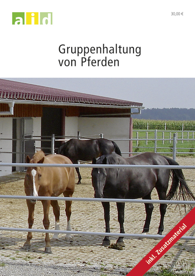 Gruppenhaltung von Pferden - Schullizenz - Katrin Steinmetz