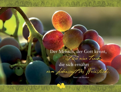 Faltkarte "Der Mensch, der Gott kennt, ist wie eine Traube..." - 5 St&uuml;ck - Noor van Haaften
