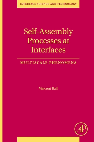 Self-Assembly Processes at Interfaces