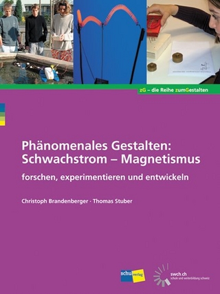 Phänomenales Gestalten: Schwachstrom - Magnetismus