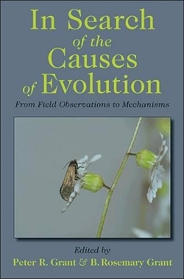In Search of the Causes of Evolution