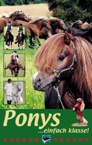 Ponys - einfach Klasse